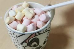IMG-20230204-WA0087