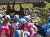 20160607_123133 (Copy) (Copy)