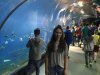 IMG_2502 (Copy)