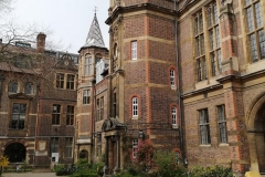 56164151_1672559259718498_1006604965403164672_n