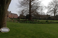 56219858_410104399773934_8004803705180258304_n