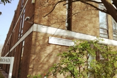 56255576_336276173905649_7638661179170095104_n