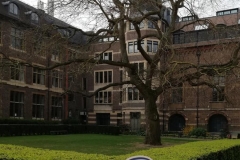 56279953_2125738964138444_1187301188802969600_n