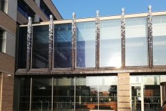 56369775_446486899243636_4495945394353602560_n