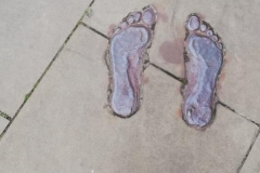 56474568_422426648325182_500922469524176896_n