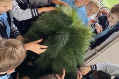 IMG-20241209-WA0009