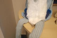 IMG-20240110-WA0011