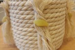 IMG-20240110-WA0012