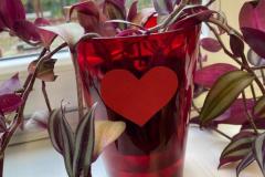 IMG-20231121-WA0003
