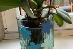 IMG-20231121-WA0005