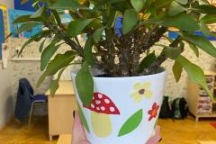 IMG-20231121-WA0007