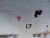20170120_094911 (Copy)