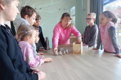 IMG-20250226-WA0002