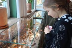IMG-20250226-WA0012