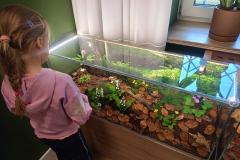 IMG-20250226-WA0015