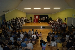 SONY DSC