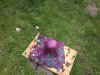 WP_20150420_013