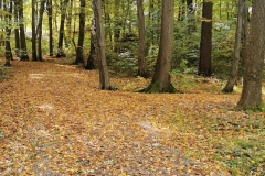 IMG_20221005_103206