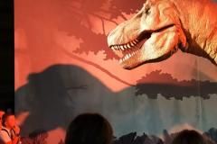 WhatsApp-Image-2025-10-02-at-21.21.23-5 WhatsApp-Image-2025-10-02-at-21.21.23-5