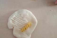 IMG-20240509-WA0021
