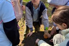 IMG-20250417-WA0014