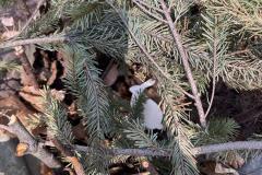 IMG-20250417-WA0026