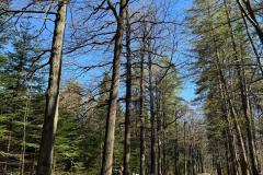 IMG-20250417-WA0028