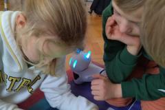 IMG_20230317_135249
