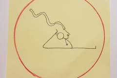 1_Maja-p.1