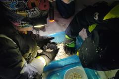 IMG-20231203-WA0035