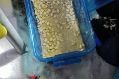 IMG-20231203-WA0056