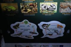 IMG-20231203-WA0189