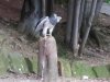 20170629_104040