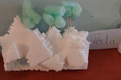 IMG-20240213-WA0019
