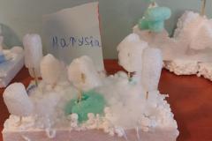 IMG-20240213-WA0020