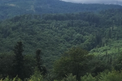 IMG20220712130605