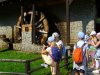 IMG_1071 (Copy)