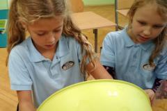 IMG_20190926_144050