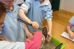 IMG_20230202_144225