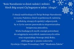 Ozdobna Płatek Śniegu Wzór Społecznościowe Media Grafika (Kartka pocztowa) - 2