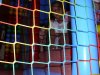 IMG_0554