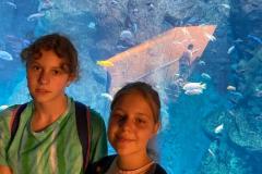 IMG-20230929-WA0018
