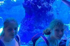 IMG-20230929-WA0024