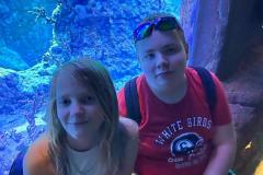 IMG-20230929-WA0026