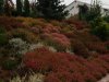 20141014_093636