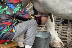 WhatsApp-Image-2025-10-16-at-15.17.12-3