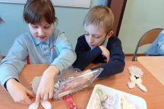 IMG_20230301_083829