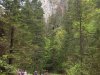 20170531_114544