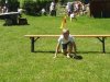 20170602_124227