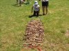 20170602_124523